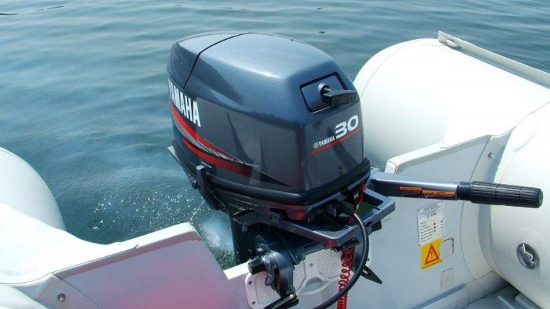 Двухтактные подвесные лодочные моторы