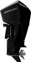 Подвесной лодочный мотор 175L/XL/CXL DTS V6