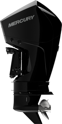 Подвесной лодочный мотор 175L/XL/CXL DTS V6